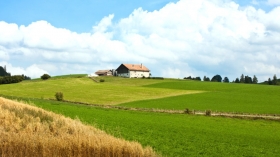 Allevamento e agricoltura - Agrimarket snc - Teramo