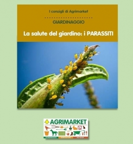 La salute del giardino - i PARASSITI - Agrimarket snc - Teramo